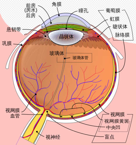 image-20231229175806611