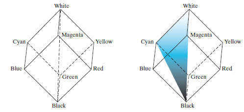 image-20231230004404089