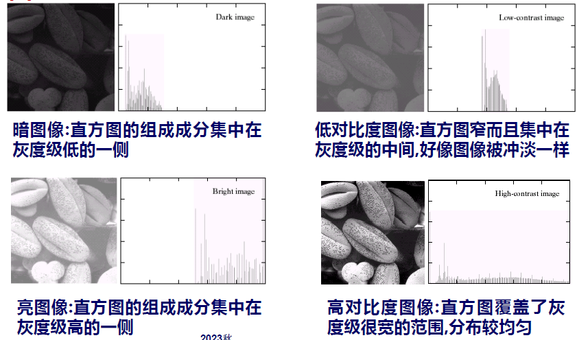image-20231027152158392