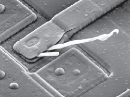image-20231215144217965