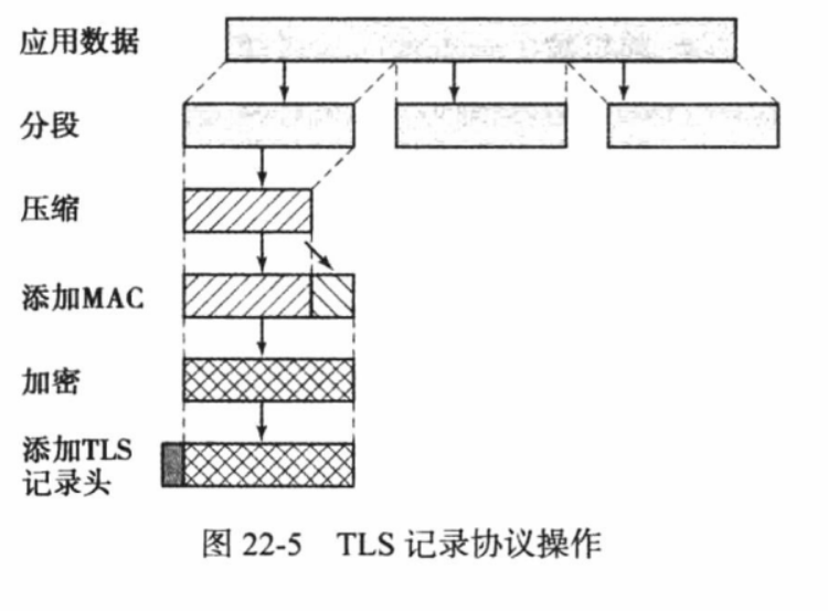 image-20231215104422965