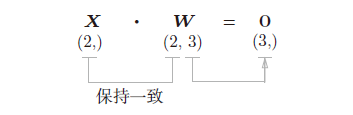 单向量正向传播