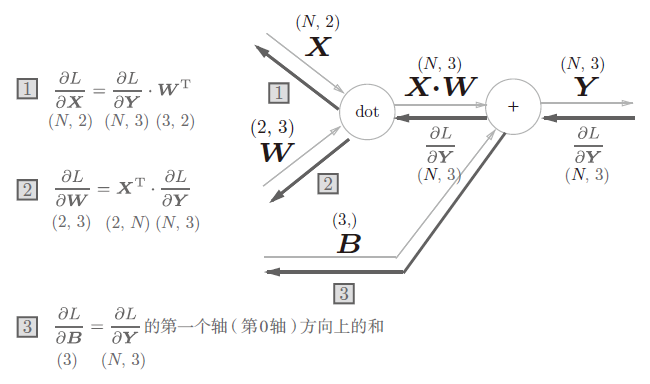 N个向量反向传播